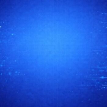 David Daly Ndiaye – YTA Expert 2026